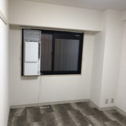 シャンプードレッサー